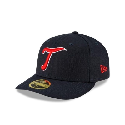 Blue Minnesota Twins Hat - New Era MLB Ligature Low Profile 59FIFTY Fitted Caps USA4968720